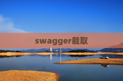 swagger截取